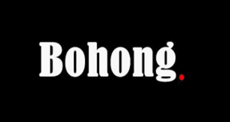 bohong